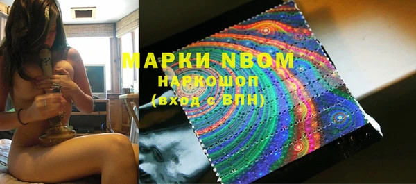 прущие грибы Кукмор
