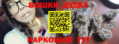 индика Заводоуковск