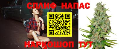 Альфа ПВП Жуковский