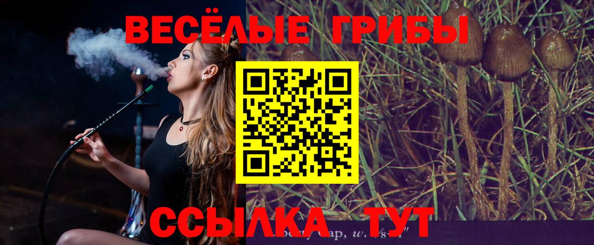 Псилоцибиновые грибы Psilocybine cubensis Наро-Фоминск